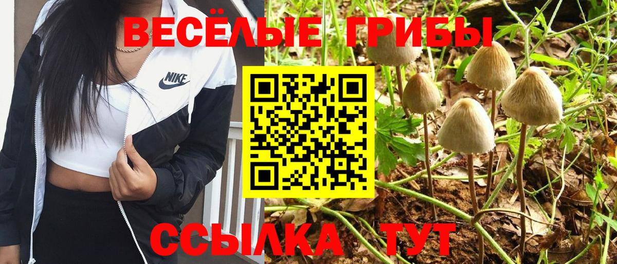 Тулун  Псилоцибиновые грибы Psilocybine cubensis  Псилоцибиновые грибы GOLDEN TEACHER  Вход с VPN 